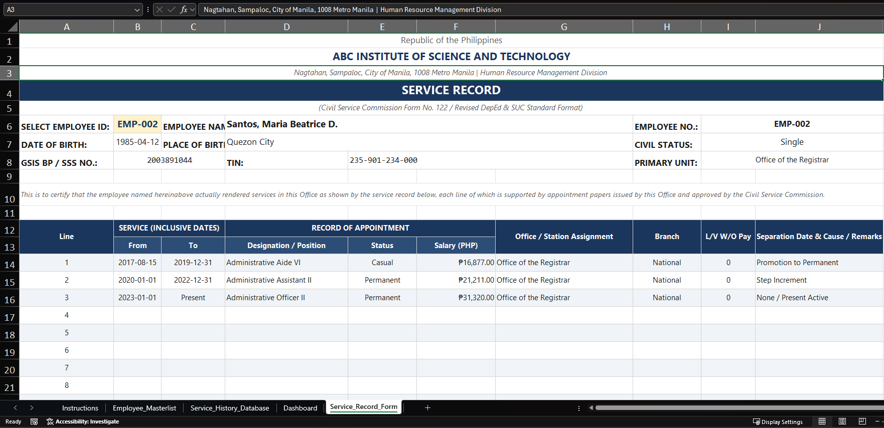 Service Record System Template preview